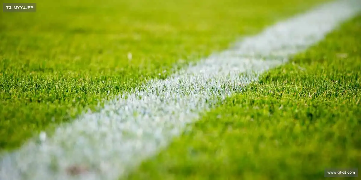 milan米兰🏐团队、协作、默契 —— 这里有最燃的体育故事,等你成为主角👫